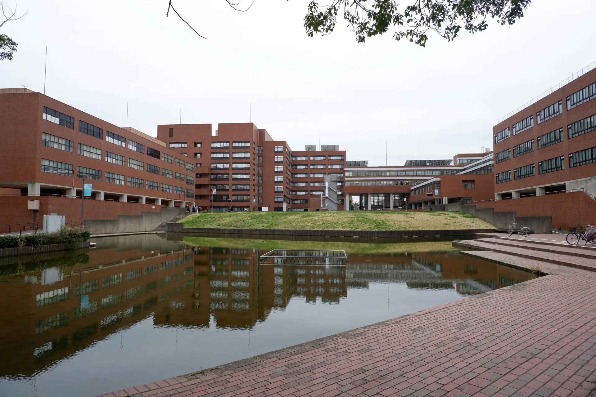 Students exploring a campus together